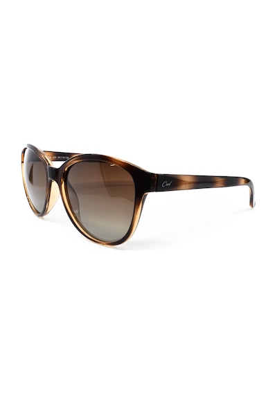 Cool 324 C6p 55 Leopar