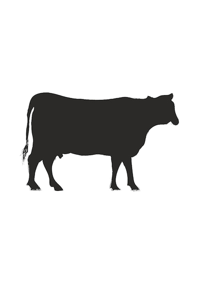 İnek Folyo Sticker Derstve46060 80cm Uzunluk Siyah