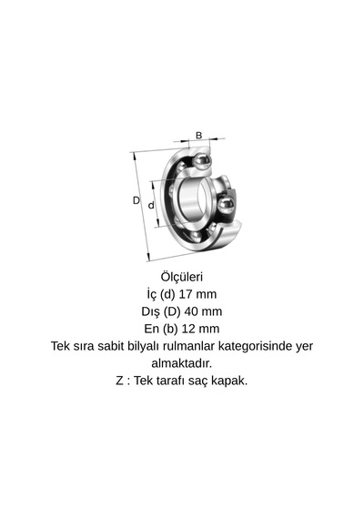Ors 6203 Zz G100 C3 Bilya 17x40x12