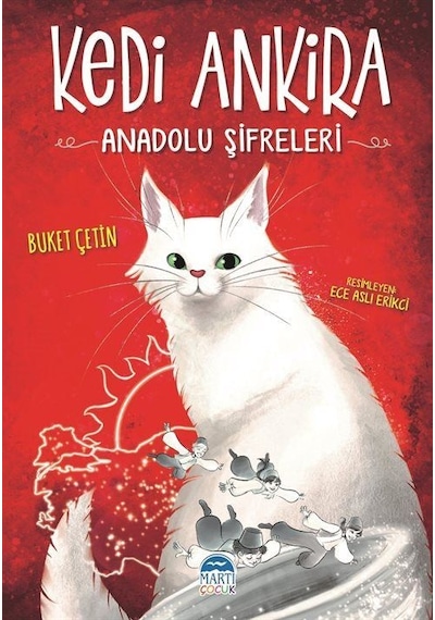 Kedi Ankira / Buket Çetin
