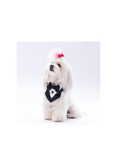 Pawstar Siyah Smokin Kedi Köpek Fuları Pet Bandanası