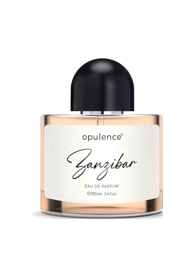Hc Care Opulence Zanzibar Erkek Parfüm EDP 100 ML