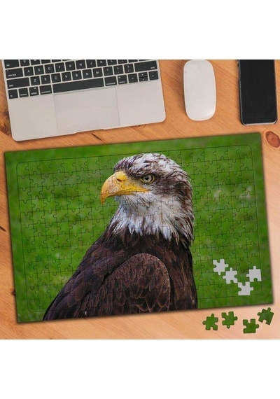 Yırtıcı Kuş Kartal 240 Parça Puzzle Yapboz-75291