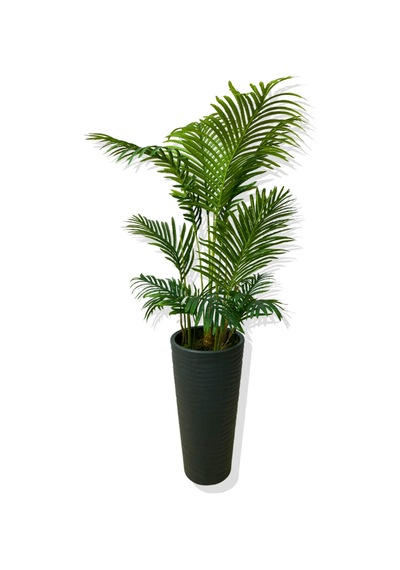 Cihan Çiçekçilik Areka 150 Cm 12 Yaprak Yapay Ağaç 56x30x20 Antrasit Kumsal Saksı Beyaz- Yeşil