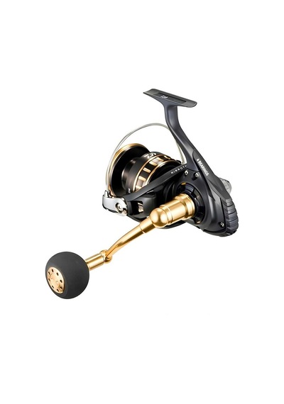 Daiwa 23 Bg Sw 8000p Makara-3361