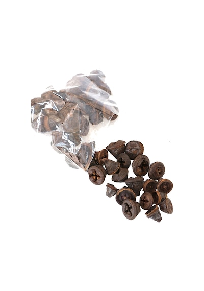 Yapay Çiçek Deposu Tropik Mini Süsleme Chiruni Pod 100gr