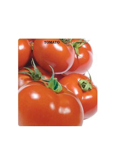 Sc-2121 Domates Tohumu 2gram