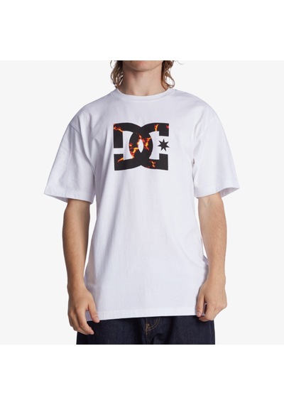 Dc Shoes Dc Star Fill Erkek Beyaz T-shirt