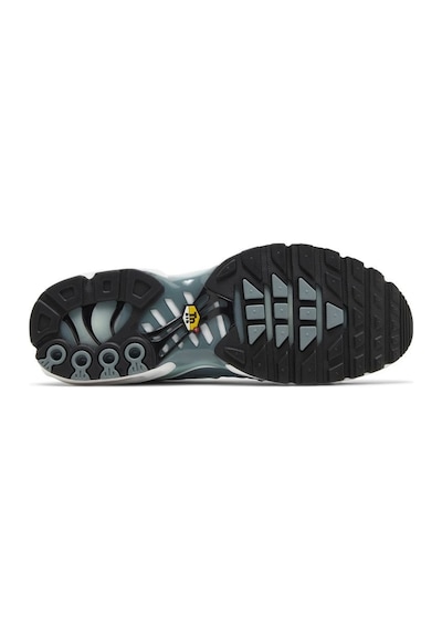 Nike Tn Air Max Plus Waterway Spor Ayakkabı Çok Renkli