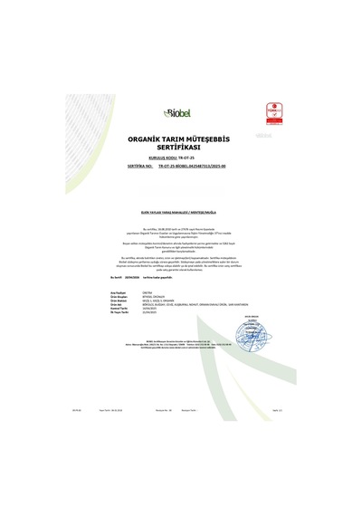 Eget Ata Tohumundan Organik Nohut 1 KG