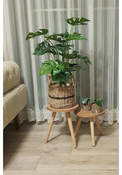 3'lü Ahşap Ayaklı Çiçeklik Saksılık Standı Dekoratif Yan Sehpa Seti 25 Cm Çap Atlantik Çam Diğer