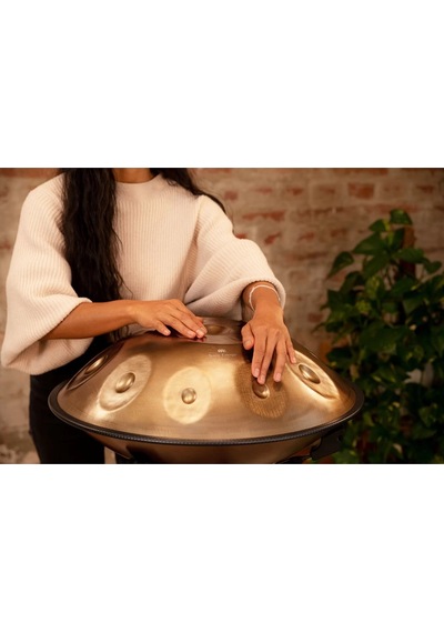 Meinl Sonic Energy Hpstl100 Stainless Steel 10 Notes D Kurd Handpan Vintage Gold