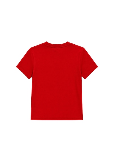 Mixray 2100 Kadın Slim Fit Bisiklet Yaka Soft Basic T-shirt Kırmızı Mixray 2100 Kadın Slim Fit Bisiklet Yaka Soft Basic T-shirt Kırmızı