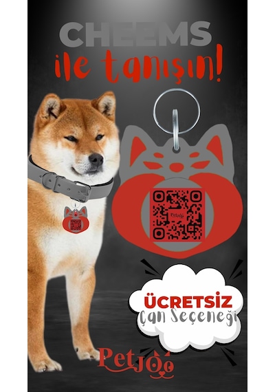 Petjoo 18.Cheems Kırmızı-Gri Qr'lı Köpek Künyesi