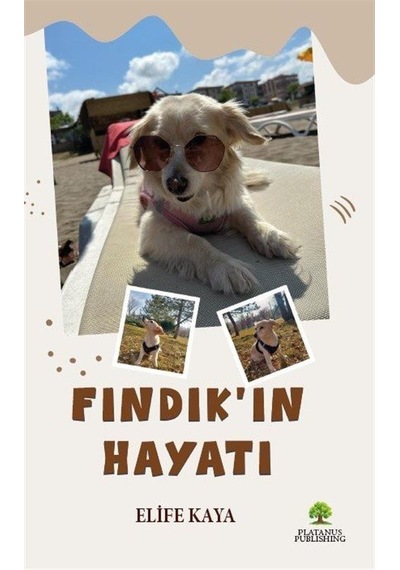 Fındık'ın Hayatı / Elife Kaya