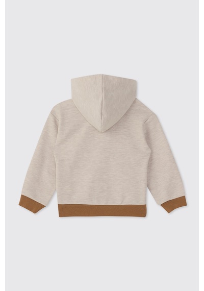 Panço Erkek Çocuk Fermuarlı Sweatshirt Bej-melanj