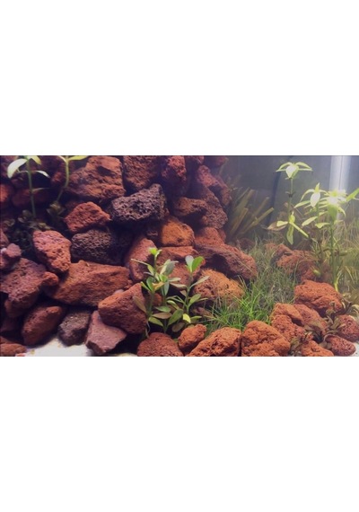 Lav Taşı 3 Kg 10-15 Mm Akvaryum Teraryum Taşı Filtre Taşı Pomza