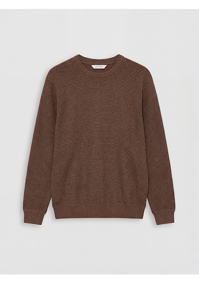 Lcw Vision Kahverengi Regular Fit Bisiklet Yaka Erkek Triko Sweatshirt