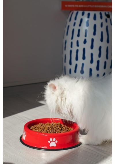 Kedi Köpek Mama Ve Su Kabı Pati Desen,flame