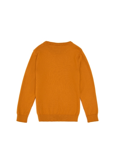 U.S. Polo Assn. Erkek Çocuk Hardal Basic Kazak 50315586-VR072