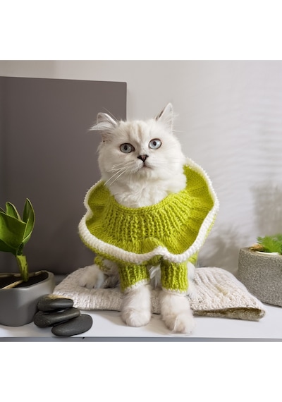 Kedi Ve Köpek İçin Yakası Fırfırlı Fıstık Yeşili Tulum