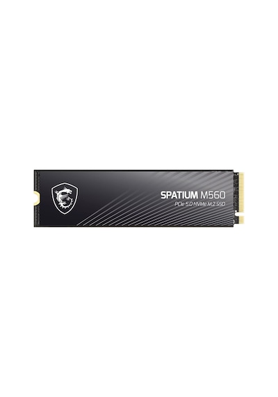 MSI Spatium M560 2 TB (10300/8700MB/S) M.2 2280 Pcıe 5.0 Nvme SSD