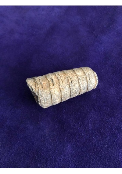 Kafadanbacaklı Baculites Fosil 45 Gram