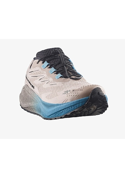 Salomon Aero Blaze 4 Grvl Gtx Erkek Outdoor Koşu Ayakkabısı L45403300 Bej