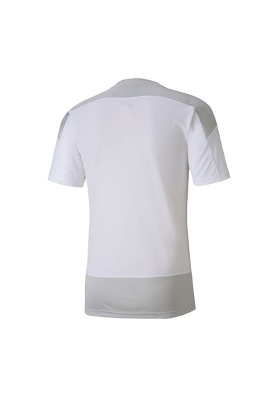 Puma Teamgoal 23 Training Jersey Erkek Futbol Forması 65648204 Be
