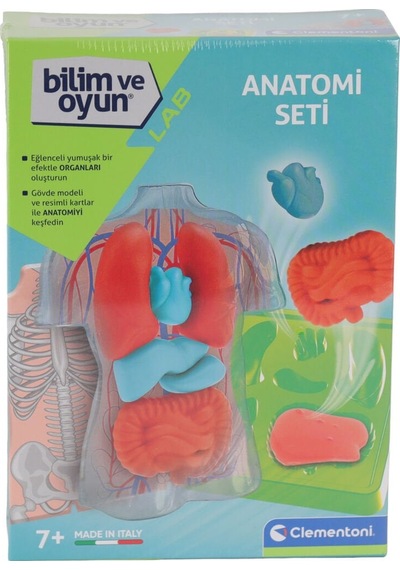 64742 Bilim Ve Oyun - Anatomi Seti