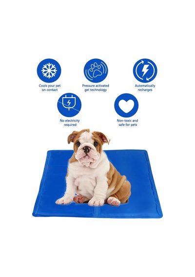 Kedi Ve Köpek Matı Soğuk Serinletici Kedi Minderi Evcil Hayvan Yatağı Uyku Matı 50 X 65 Cm