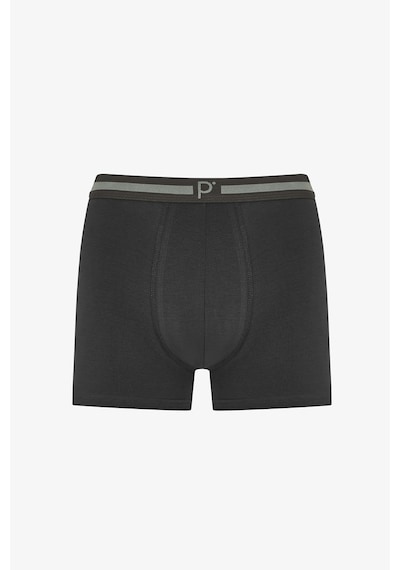 Penti  Erkek Renkli Classic Core Çoklu Boxer