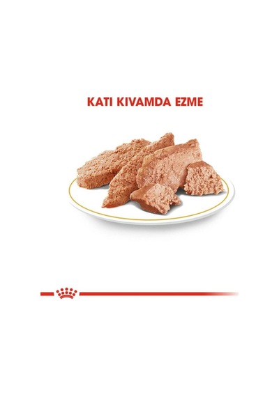 Royal Canin Persian İran Kedilerine Özel Kedi Konservesi 85 Gr 12'li Paket