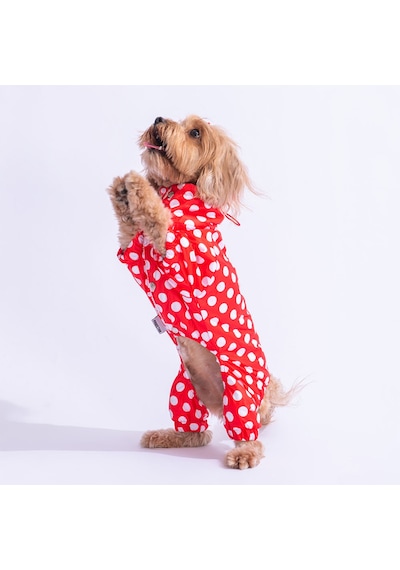 Kırmızı Dots Köpek Tulum Yağmurluğu Köpek Yağmurluk Köpek Kıyafeti Köpek Elbisesi