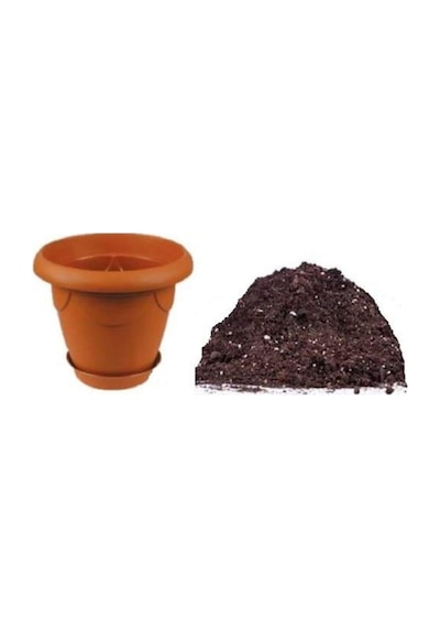 Nadir Ithal Saksılık Acı Scorpion Biber Tohumu Ekim Seti 5 Tohum Saksı Toprak Kombin