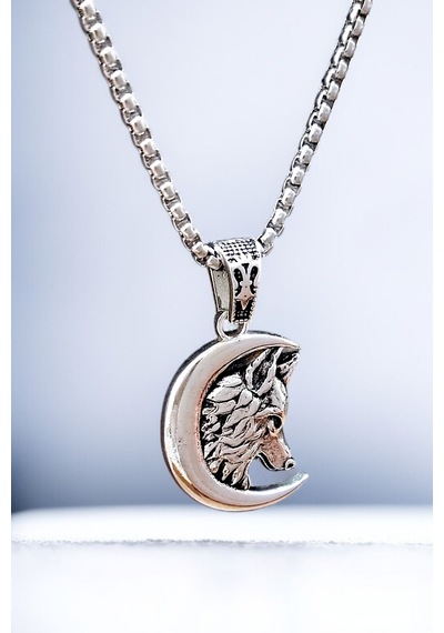 Ak Store Silver Gümüş Kaplama Krom-Çelik Erkek Kolye Madalyon Hilal İçinde Bozkurt Gümüş