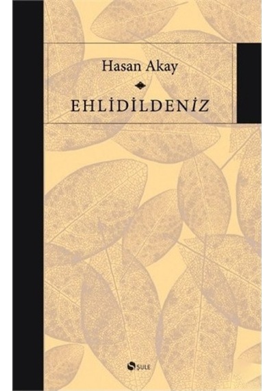 Ehlidildeniz-hasan Akay