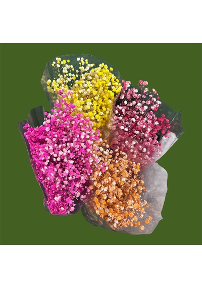 Şoklanmış Kurutulmuş Cipso Çiçeği 1 Demet 50-60gr - 35-45cm Turuncu