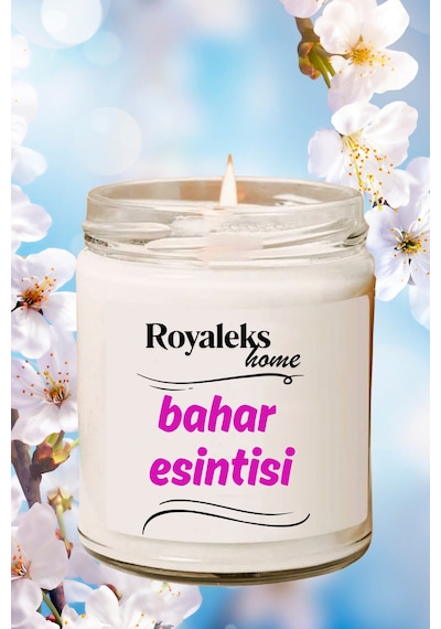4 Adet Doğal Özel Seri Kokulu Dekoratif Kavanoz Mum 4x210 Cc - Fresh Set - Ryl Çok Renkli