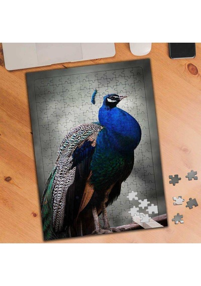 Renkli Tüylü Tavus Kuşu 240 Parça Puzzle Yapboz-75442