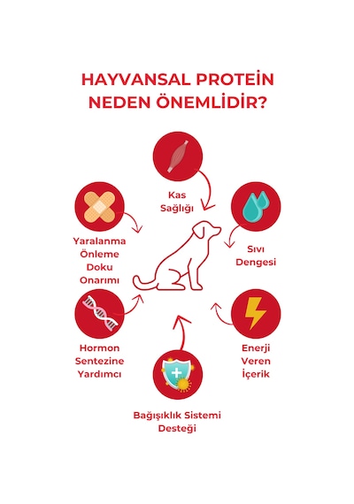 Herbamax Kuzu Etli ve Pirinçli Yetişkin Köpek Maması 2 x 10 KG