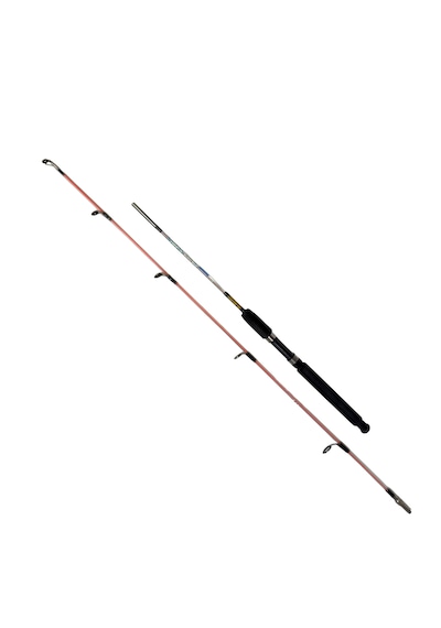 Fishpro Echo 120cm 100-250gr Tekne Kamışı 120cm