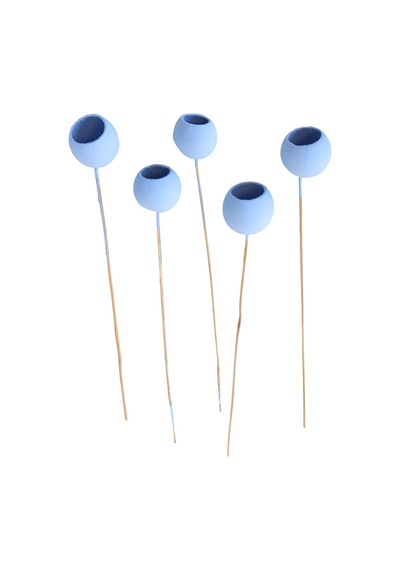 Dekoratif Bell Cup 5li Tropic Kabak Mavi