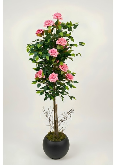 Yapay Pembe Gül Ağacı 150 Cm 27x33 Siyah Küre Saksılı Beyaz