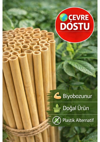 100 Adet Bambu Pipet 9mm X 20cm Kalın Smoothie Pipeti Doğal Çevre Dostu