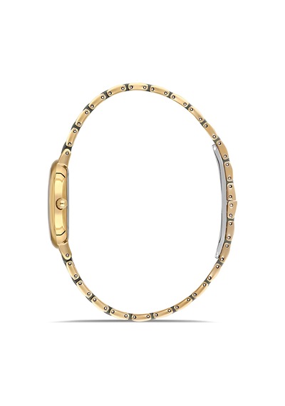 Momentus Cw323t-04sg Kadın Kol Saati Gold