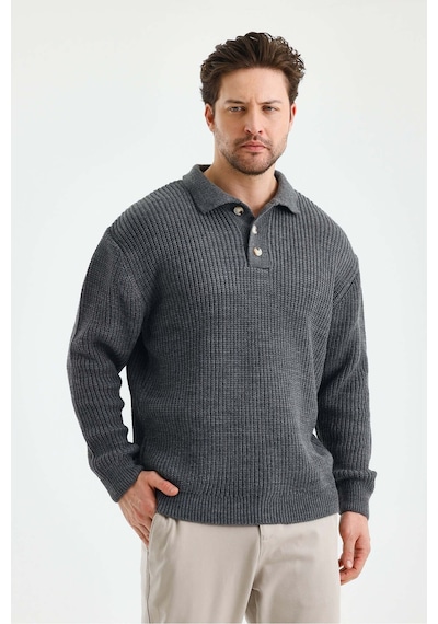 Erkek Düğmeli Regular Polo Yaka Triko Kazak Füme