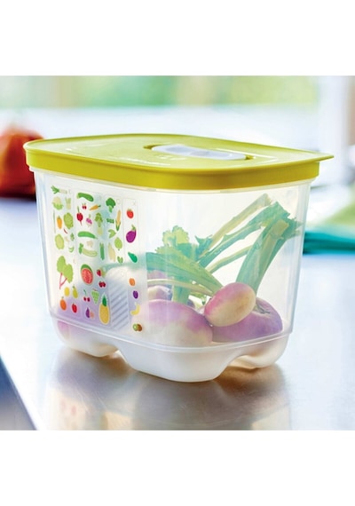 Tupperware Tupperaware Sera Buzdolabı Saklama Kabı Dikey 2 X 18 L Çok Renkli
