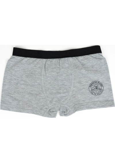 Bezos Erkek 2li Boxer Set K128997 Tek Adet Fiyatıdır Beden: 3-4 Yaş Renk: Asorti Bezos1 Çok Renkli