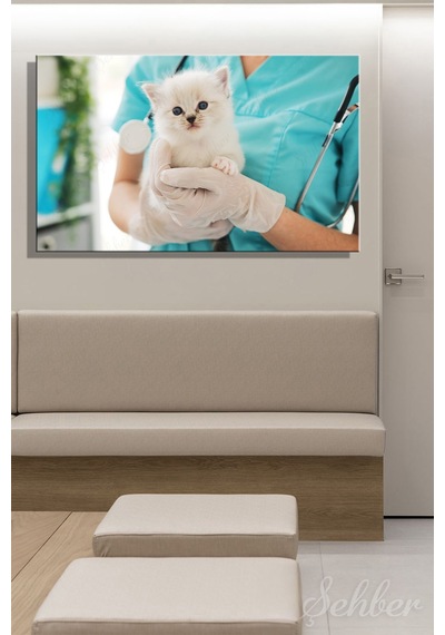 Veteriner Kliniğinde Sevimli Mavi Gözlü Bir Yavru Kedi Yatay Kanvas Tablo 4061 Çok Renkli